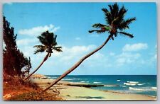 Whispering Palms Florida Coast 1960 Cancel Saint Petersburg Postcard picture