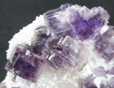 16.7cm 269g GEM cubic purple Fluorite&Quartz crystal,Zhejiang,China picture