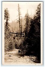 Mendocino County California CA Postcard RPPC Photo Noyo River Near North Spur picture
