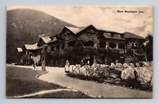 Bear Mountain Inn Hotel New York Albertype Co Postcard c1928 picture