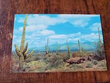 Vintage Postcard Giant Saguaros Southern Arizona Cacti Bx1-9 picture
