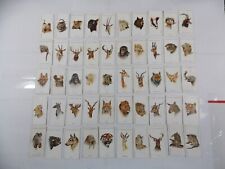Players Cigarette Cards Wild Animals Heads 1931 Complete Set 50 picture