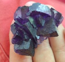 Deep Purple Fluorite Crystal Hasties  Cave In Rock Illinois  picture