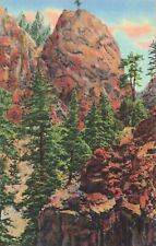 Postcard The Lonesome Pine South Cheyenne Canon Colorado Springs Mountain picture