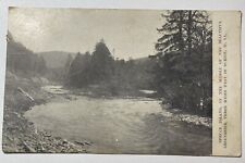 Postcard WEST VIRGINIA Durbin SPRUCE ISLAND In Middle of Greenbrier 1909 picture