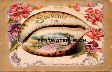 Pentwater Michigan Colorized Vintage Postcard Souvenir Unposted picture