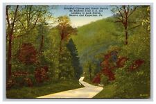 Bucktail Trail U.S. 120 Leading To Lock Haven Pennsylvania PA Postcard picture