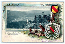 1900 The Old Castle Greetings from Baden Baden Germany Embossed PMC Postcard picture