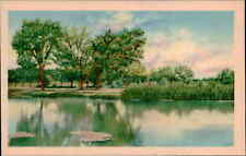 Postcard: Lake Scene with Beautiful Trees picture