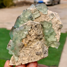 278G  Rare crystal samples of transparent green cubic fluorite/China picture