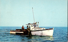 Vintage 1950's Old Wooden Lobster Boat of the Atlantic Coast Maine ME Postcard picture