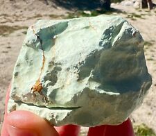 931cts Large Green Variscite Lapidary Nugget picture