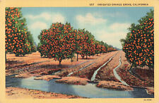 Postcard Irrigated Orange Grove Fruit posted 1940 Riverside California CA Linen picture