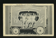 Gainesville-Community Circus / Texas - Unused Postcard picture