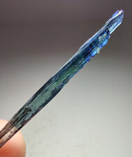 Vivianite crystal. From Amazonas, Brazil. 5.5 cm. picture