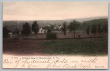 Postcard Birds-Eye-View of Mountain Dale, N.Y. *A272 picture