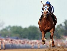 LOT of 2 TWO Secretariat 8 X 10 PHOTO HORSE RACING Kentucky Derby Preakness picture