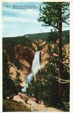 Vintage Postcard 1945 Falls of the Yellowstone Yellowstone National Park picture