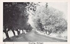 Grayling MI Michigan Crawford County Dirt Country Road Scenic Vtg Postcard A33 picture