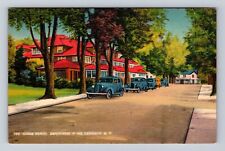 Maplecrest NY-New York, Catskill Mts, Street Lined Sugar Maples Vintage Postcard picture