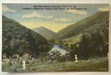Vintage Postcard, Scene on Bucktail Trail US 120, Pennsylvania, Linen, Unused picture