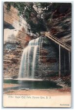 c1905 Eagle Cliff Falls River Havana Glen New York NY Vintage Antique Postcard picture