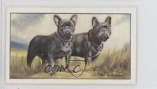 1936 Gallaher Dogs Series 1 Tobacco The French Bulldog #7 0a4f picture