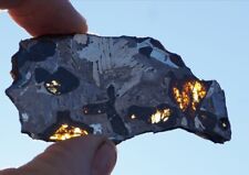 RARE 25.3 g ETCHED FUKANG PALLASITE METEORITE SLICE w/ Large Olivine Crystals picture