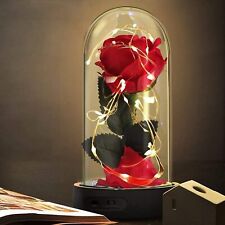 Beauty and The Beast Rose Gifts,Preserved Enchanted Monther’s Red  picture