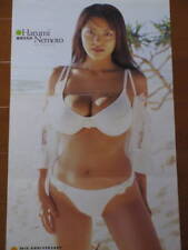 Harumi Nemoto. Megumi Okina Double-Sided Poster ed picture