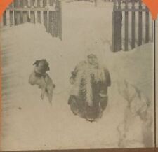 1890s Young Child Heavily Dressed in Deep Snow with Bulldog Stereoview 9-16 picture