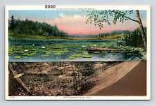 Dual View Wisconsin Pond Life Above Below Water Fish Bass PHOSTINT Postcard picture