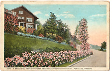 Hedge of Roses-Portland, Oregon OR-antique posted 1925 postcard picture