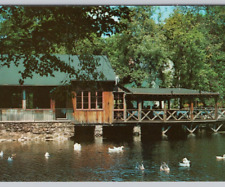 Geese Cobb's Mill Inn by the Waterfall Weston-Westport CT 1960s VTG Postcard UNP picture