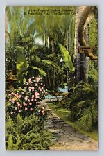St Petersburg FL-Florida, Tropical Sunken Gardens, Antique, Vintage Postcard picture