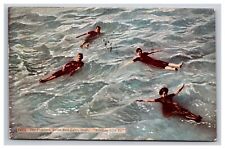 Swimming, The Floaters, Great Salt Lake Utah UT Postcard picture