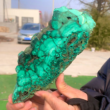 2.34LB Natural glossy Malachite transparent cluster rough mineral sample picture