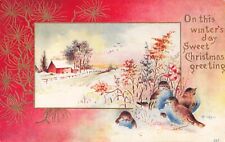 Merry Christmas Greetings, Snowy Winter Scene Birds, Embossed, Vintage Postcard picture