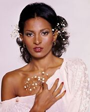 Pam Grier 8x10 sexy photo 005 picture