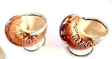 Rare - Incredible Philmore - 3 Turban shell salt cellars with sterling silver -  picture