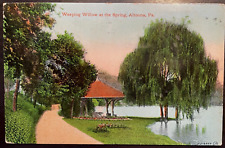 Vintage Postcard 1911 Weeping Willow at the Spring, Altoona, PA picture