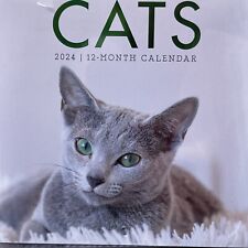 2024 Kittens Cats 12 Month Wall Calendars 2 pack 12