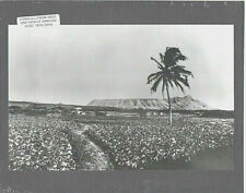 1870's? EARLY HONOLULU FROM WEST BLACK & WHITE PHOTO ON 8X10