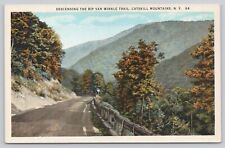 Postcard Rip Van Winkel Trail Catskill Mountains New York picture
