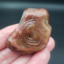 1.76 OZ SUPERB VENTIFACT TWO FACES GEMMY LAKE SUPERIOR AGATE GEMSTONE picture