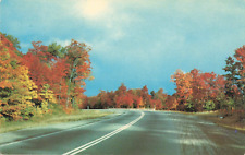Postcard Algoma Forests Sault Saint Marie Canada Autumn Colors Vintage 0043 picture