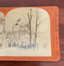 1899 Ice Palace Niagara Falls New York People Horse Buggy Photo SV1C picture