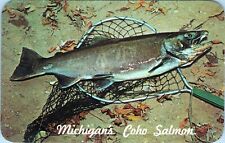Coho Salmon Michigan Postcard 32525-C Unposted picture