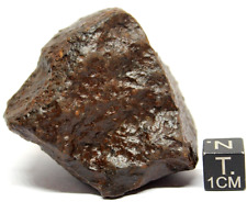 Meteorite Chondrite meteorite 132 gram meteorite, from outer space picture