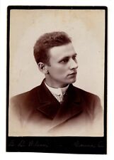 CIRCA 1880s CABINET CARD E.L. WILSON HANDSOME YOUNG MAN IN SUIT GENEVA OHIO picture